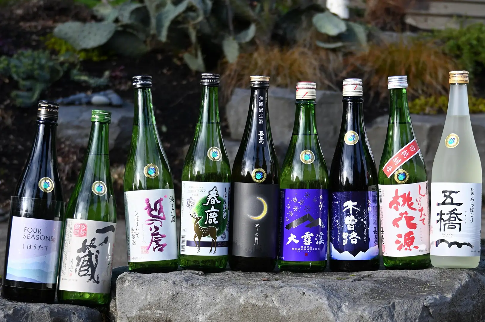 A collection of various Japanese sake bottles lined up on a stone surface at Best Izakaya Singapore