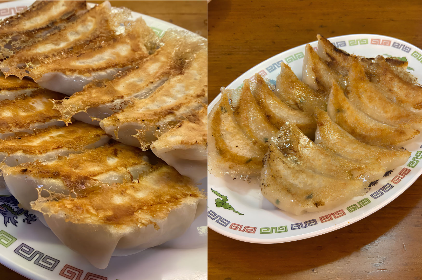 Crispy pan-fried Japanese gyoza dumplings at late-night Japanese food spot in Cuppage Plaza Singapore